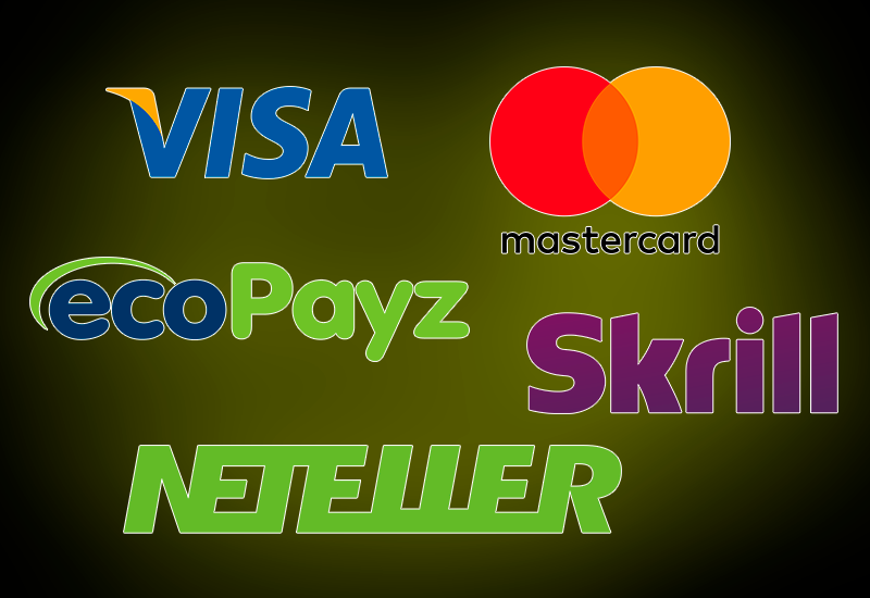 Visa, Master Card, ecoPayz, Skrill and Neteller logo